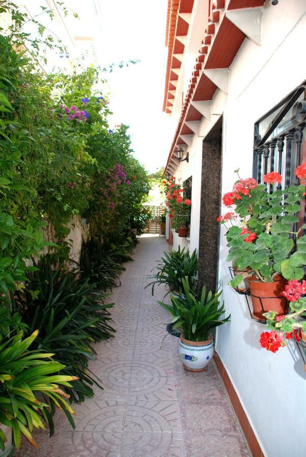 Apartamentos Inter Gandía Exterior foto